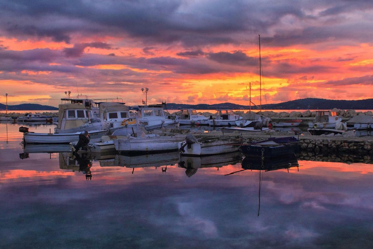 Sara Daire Bibinje Dış mekan fotoğraf